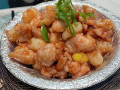-丁老爷子苏香圆