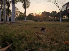 -上海滴水湖皇冠假日酒店