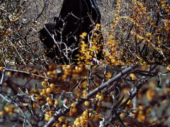 景点-墨石公园景区