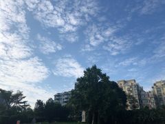 -十九路军淞沪抗日阵亡将士陵园