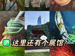 -上海大自然野生昆虫馆(东方明珠·爬宠昆虫探索中心)