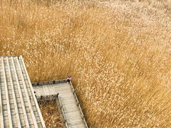 -野鸭湖国家湿地公园