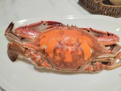 -大锅强·蒸海鲜青岛菜(金沙滩店)