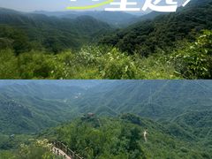 -大岭沟猕猴桃谷风景区