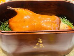 -鹿园 MOOSE(长宁店)