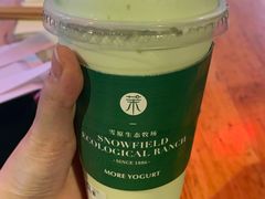 -茉酸奶(春熙路店)