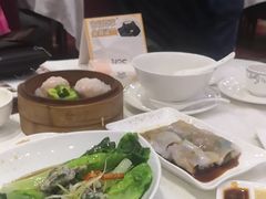-澳门富豪酒店