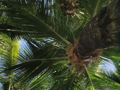 -海南清水湾莱佛士酒店