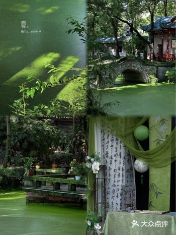 唐昌古镇漫游 | 书院咖啡与公园闲趣