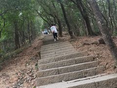 -梧桐山风景名胜区