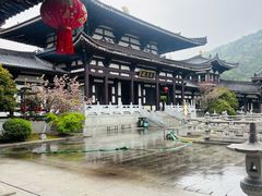 -合肥野生动物园