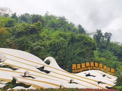 -西双版纳原始森林公园