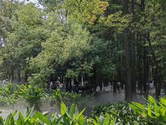 -东湖落雁景区