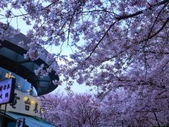 -上海人家花樣年华(虹口龙之梦店)