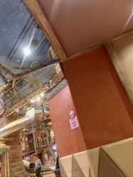 -卡通尼·Safari非洲探索乐园·生日会(金桥国际商业广场店)