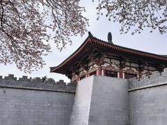 -唐城墙遗址公园