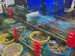 水产区-鑫鸿达·海鲜闽菜热炒小馆(中山路店)