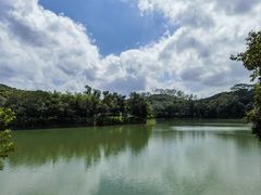 -凤岗南门山森林公园