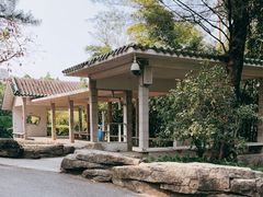 -晓港公园