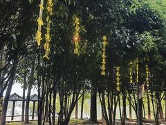 -苏州太湖国家湿地公园