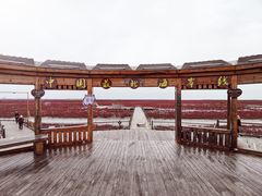 -红海滩国家风景廊道