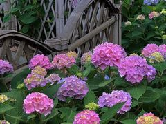 -常州古运河南大街文化旅游区-人民公园