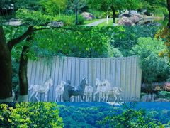 -白马涧龙池景区