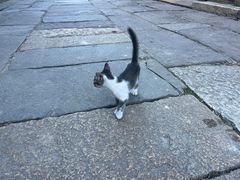 -贾老板缸肉馆(潮韵街店)