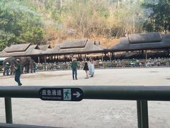 -野象谷景区