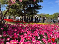 -石家庄市植物园