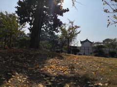 -灵岩山风景区