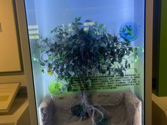 -中国茶叶博物馆(双峰馆区)