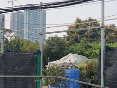 -大眼强五杯鹅·桑拿鸡煲