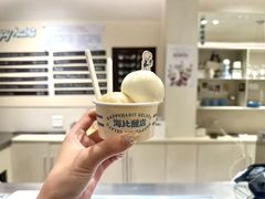 -海比甜店·意式手工冰激淋happy habit gelato