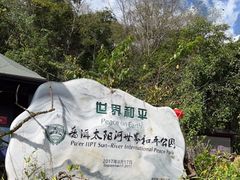 -普洱太阳河森林公园