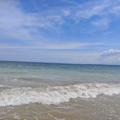 -白博士面部护理&头皮护理