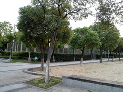 -尚贤河湿地