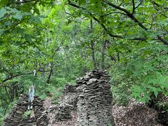 -帽儿山国家森林公园