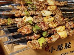 -福苗小骆驼烧烤(大唐不夜城店)