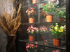 -东方之珠KTV娱乐超市(河北店)