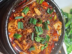 -陈麻婆豆腐(旗舰店)