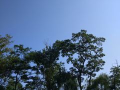 -南戴河国际娱乐中心