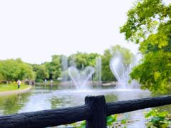 -上海共青森林公园