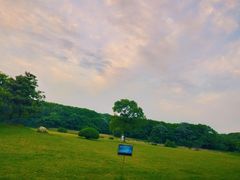 -艾溪湖湿地公园