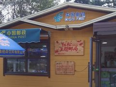 -五营红松林海景区