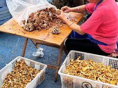 -佳缘野生菌食府
