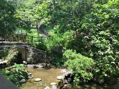 -梧桐山风景名胜区