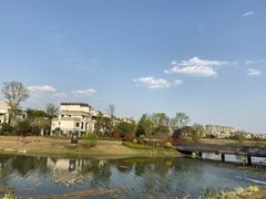 -两河城市森林公园