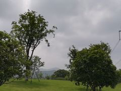 -长田漾湿地公园