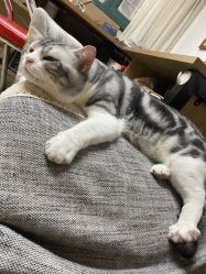 -长沙纹身·龙堂刺青·三土师傅的店